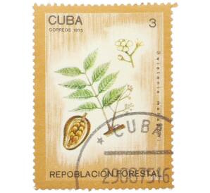 Почтовая марка 3 сентаво 1975 года Куба «Лесовосстановление — Махагони настоящее (Swietenia mahagoni)» — Фото №1
