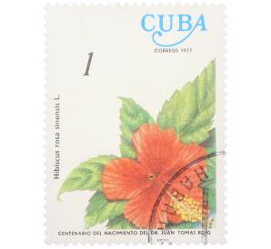 Почтовая марка 1 сентаво 1977 года Куба «Столетие со дня рождения доктора Хуана Томаса Роига — Гибискус» — Фото №1