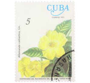 Почтовая марка 5 сентаво 1977 года Куба «Столетие со дня рождения доктора Хуана Томаса Роига — Алламанда катарсис (Allamanda cathartica)» — Фото №1