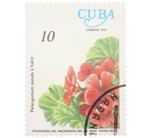 Почтовая марка 10 сентаво 1977 года Куба «Столетие со дня рождения доктора Хуана Томаса Роига — Пеларгония зональная» — Фото №1