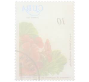 Почтовая марка 10 сентаво 1977 года Куба «Столетие со дня рождения доктора Хуана Томаса Роига — Пеларгония зональная» — Фото №2