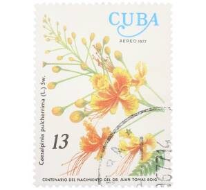 Почтовая марка 13 сентаво 1977 года Куба «Столетие со дня рождения доктора Хуана Томаса Роига — Цезальпиния красивейшая (Caesalpinia pulcherrima)» — Фото №1