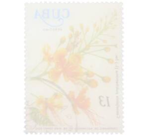 Почтовая марка 13 сентаво 1977 года Куба «Столетие со дня рождения доктора Хуана Томаса Роига — Цезальпиния красивейшая (Caesalpinia pulcherrima)» — Фото №2