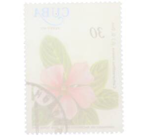 Почтовая марка 30 сентаво 1977 года Куба «Столетие со дня рождения доктора Хуана Томаса Роига — Катарантус розовый» — Фото №2