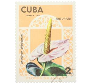 Почтовая марка 2 сентаво 1974 года Куба «Садовые цветы — Антуриум Андре (Anthurium andraeanum)» — Фото №1