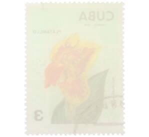 Почтовая марка 3 сентаво 1974 года Куба «Садовые цветы — Канна садовая (Canna generalis)» — Фото №2