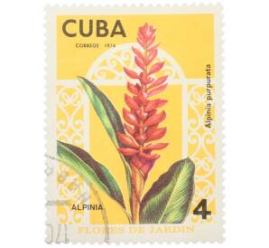 Почтовая марка 4 сентаво 1974 года Куба «Садовые цветы — Альпиния пурпурная (Alpinia purpurata)» — Фото №1