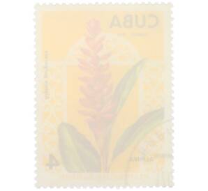 Почтовая марка 4 сентаво 1974 года Куба «Садовые цветы — Альпиния пурпурная (Alpinia purpurata)» — Фото №2