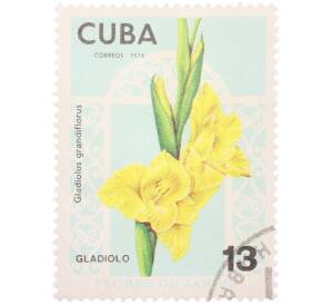 Почтовая марка 13 сентаво 1974 года Куба «Садовые цветы — Гладиолус крупноцветковый (Gladiolus grandiflorus)» — Фото №1