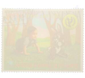 Почтовая марка 5 экуэле 1979 года Экваториальная Гвинея «Международный год ребенка — Ребенок и кролик» — Фото №2