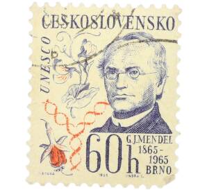 Почтовая марка 60 геллеров 1965 года Чехословакия «100 лет публикации работы Менделя о наследственности» — Фото №1