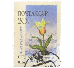 Почтовая марка 20 копеек 1960 года «Флора СССР — Тюльпан Кауфмана» — Фото №1