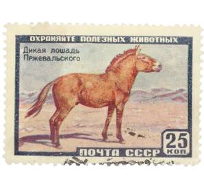 Почтовая марка 25 копеек 1959 года «Фауна СССР — Дикая лошадь Пржевальского» — Фото №1