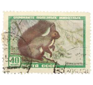 Почтовая марка 40 копеек 1957 года «Фауна СССР — Белка» — Фото №1