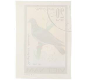 Почтовая марка 20 су 1978 года Вьетнам «Певчие птицы - Пятнистая горлица (Streptopelia chinensis)» (Без перфорации) — Фото №2