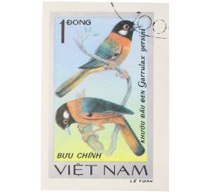 Почтовая марка 1 донг 1978 года Вьетнам «Певчие птицы - Ошейниковая кустарница (Garrulax yersini)» (Без перфорации) — Фото №1