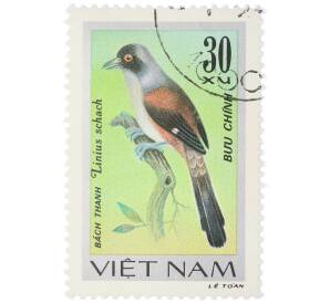 Почтовая марка 30 су 1978 года Вьетнам «Певчие птицы - Длиннохвостый сорокопут (Lanius schach)» — Фото №1