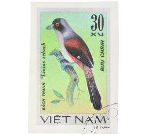 Почтовая марка 30 су 1978 года Вьетнам «Певчие птицы - Длиннохвостый сорокопут (Lanius schach)» (Без перфорации) — Фото №1