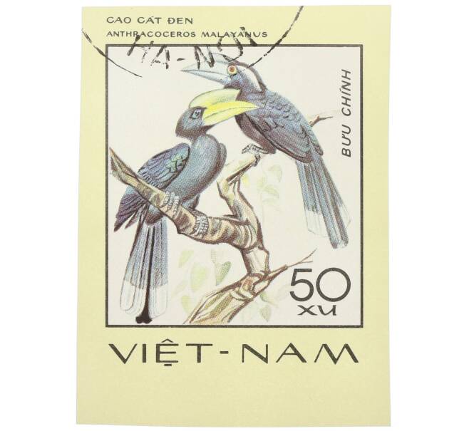 Почтовая марка 50 су 1977 года Вьетнам «Редкие птицы - Черный калао (Anthracoceros malayanus)» (Без перфорации) (Артикул: K12-85291) — Фото №1