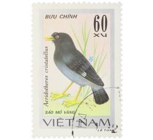 Почтовая марка 60 су 1978 года Вьетнам «Певчие птицы - Хохлатая майна (Acridotheres cristatellus)» — Фото №1