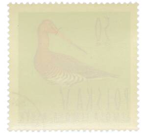 Почтовая марка 50 грошей 1964 года Польша «Птицы - Большой веретенник (Limosa limosa)» — Фото №2