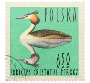 Почтовая марка 6.50 злотых 1964 года Польша «Водоплавающие птицы - Чомга (Podiceps cristatus)» — Фото №1