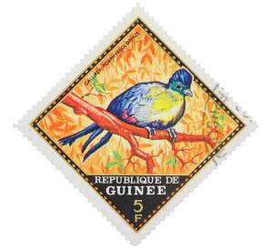 Почтовая марка 5 франков 1976 года Гвинея «Пурпурнохохлый турако» — Фото №1