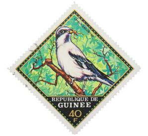 Почтовая марка 40 франков 1976 года Гвинея «Птицы — Серый сорокопут» — Фото №1