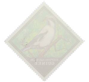 Почтовая марка 40 франков 1976 года Гвинея «Птицы — Серый сорокопут» — Фото №2