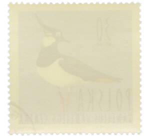 Почтовая марка 30 грошей 1964 года Польша «Водоплавающие птицы - Северный чибис» — Фото №2