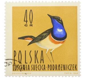 Почтовая марка 40 грошей 1964 года Польша «Водоплавающие птицы — Варакушка» — Фото №1