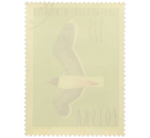 Почтовая марка 1.35 злотых 1964 года Польша «Водоплавающие птицы — Малая чайка» — Фото №2