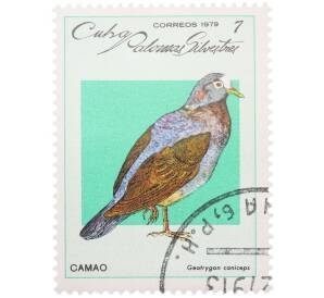 Почтовая марка 7 сентаво 1979 года Куба «Дикие голуби — Сероголовый земляной голубь» — Фото №1