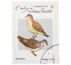 Почтовая марка 8 сентаво 1979 года Куба «Дикие голуби — Рыжая перепелиная горлица» — Фото №1