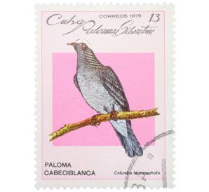 Почтовая марка 13 сентаво 1979 года Куба «Дикие голуби - Белоголовый голубь» — Фото №1