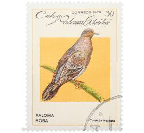 Почтовая марка 30 сентаво 1979 года Куба «Дикие голуби — Сизый голубь» — Фото №1