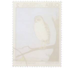 Почтовая марка 2 сентаво 1975 года Куба «Эндемичные птицы — Кубинская совка» — Фото №2