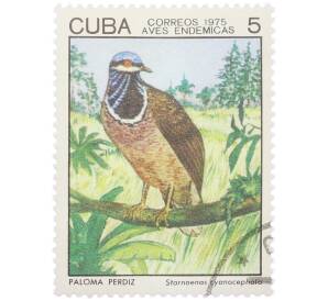 Почтовая марка 5 сентаво 1975 года Куба «Эндемичные птицы — Синеголовый земляной голубь» — Фото №1