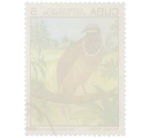 Почтовая марка 5 сентаво 1975 года Куба «Эндемичные птицы — Синеголовый земляной голубь» — Фото №2