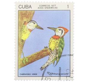 Почтовая марка 1 сентаво 1977 года Куба «Эндемичные птицы — Кубинский зелёный дятел» — Фото №1