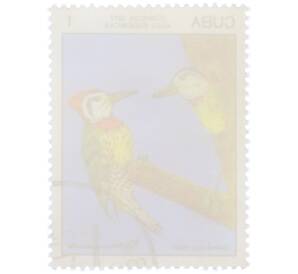 Почтовая марка 1 сентаво 1977 года Куба «Эндемичные птицы — Кубинский зелёный дятел» — Фото №2