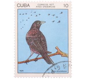 Почтовая марка 10 сентаво 1977 года Куба «Эндемичные птицы — Кубинский черный трупиал» — Фото №1