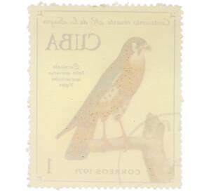 Почтовая марка 1 сентаво 1971 года Куба «100-летие со дня смерти Рамона де ла Сагра — Американская пустельга (Falco sparverius)» — Фото №2