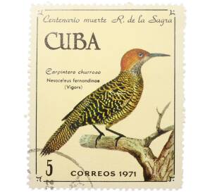 Почтовая марка 5 сентаво 1971 года Куба «100-летие со дня смерти Рамона де ла Сагра — Наземный дятел» — Фото №1