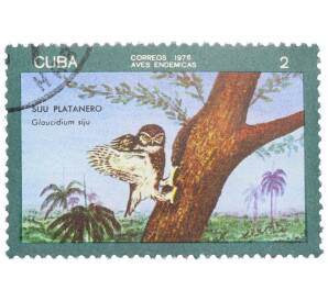 Почтовая марка 2 сентаво 1976 года Куба «Эндемичные птицы — Кубинский сычик» — Фото №1