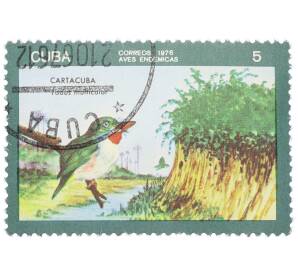Почтовая марка 5 сентаво 1976 года Куба «Эндемичные птицы — Кубинский тоди» — Фото №1