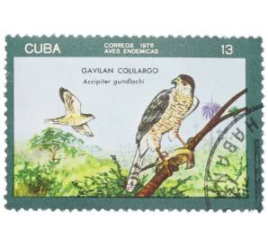 Почтовая марка 13 сентаво 1976 года Куба «Эндемичные птицы — Кубинский ястреб» — Фото №1