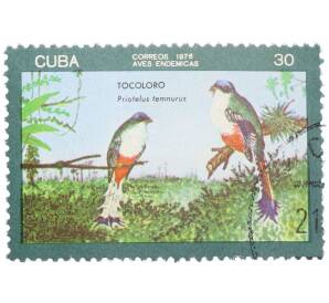 Почтовая марка 30 сентаво 1976 года Куба «Эндемичные птицы — Кубинский трогон» — Фото №1