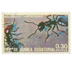 Почтовая марка 0.30 экуэле 1978 года Экваториальная Гвинея «Насекомые — Муравьи-древоточцы» — Фото №1