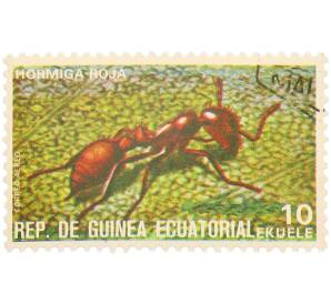 Почтовая марка 10 экуэле 1974 года Экваториальная Гвинея «Насекомые — Муравей» — Фото №1